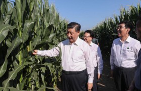 中央农村工作会议在京召开
