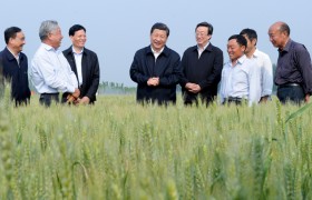 习近平总书记对做好2026年“三农”工作作出重要指示