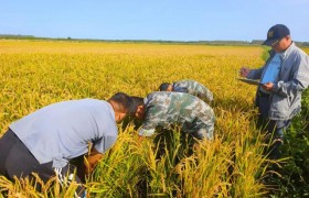 习近平总书记对做好2026年“三农”工作作出重要指示